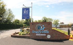 Dog&Duck Leisure Park